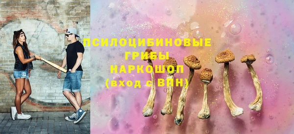 мет Алексин