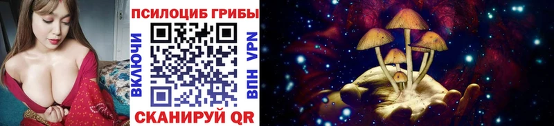 ссылка на мегу ссылки  Нарьян-Мар  Галлюциногенные грибы Cubensis 