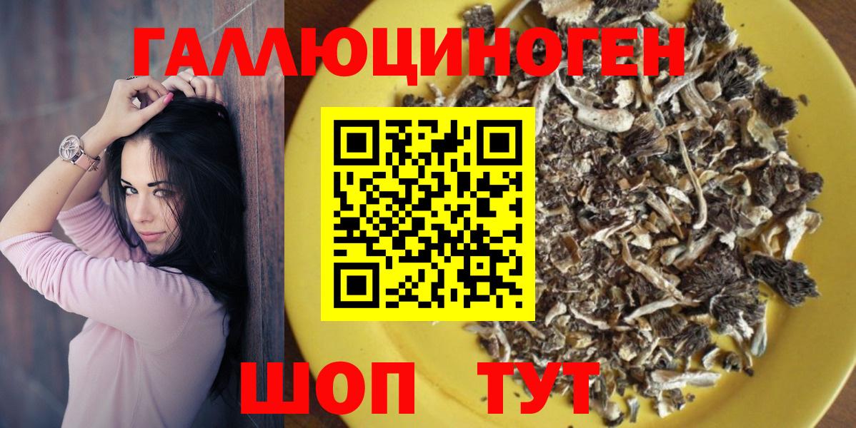 Псилоцибиновые грибы MAGIC MUSHROOMS  продажа наркотиков  Нарьян-Мар  Вход с VPN 