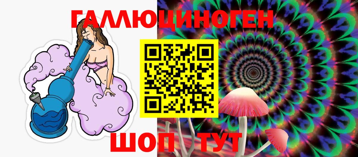 Галлюциногенные грибы Psilocybe Нарьян-Мар
