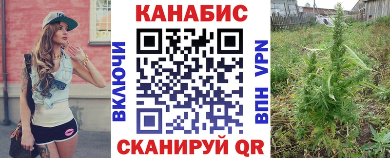 наркота  Нарьян-Мар  Бошки марихуана гибрид 